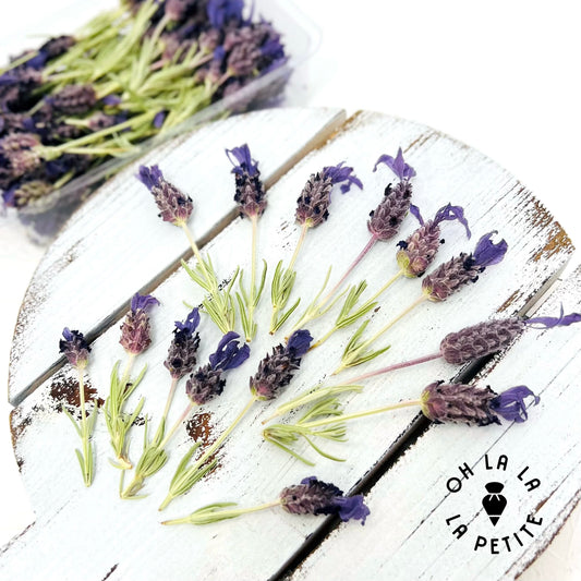 裝飾食用乾花100% Organic (薰衣草Lavender)